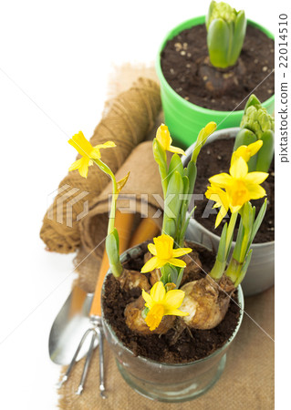 Gardening tools 22014510