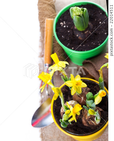 Gardening tools 22014511