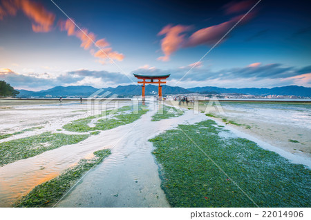 Miyajima, The famous Floating Torii gate, Japan. 22014906