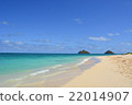 凱盧阿海灘 22014907