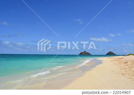 凱盧阿海灘 22014907