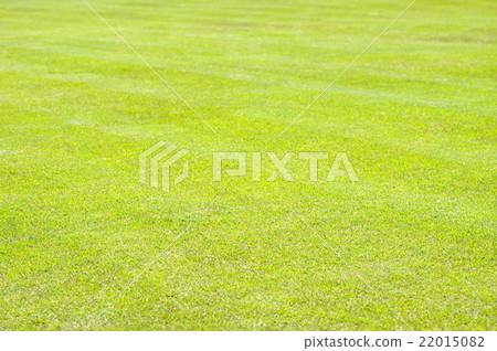 Lawn background on one side Lawn background on one side 22015082