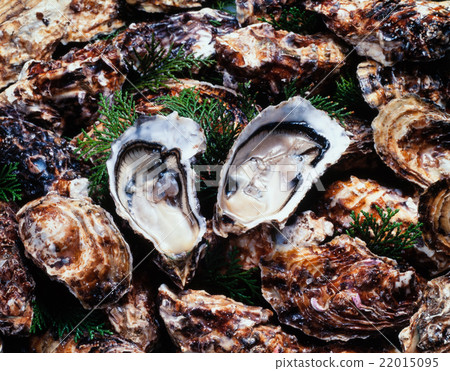 牡蠣 22015095