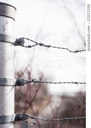 Three barb wires attached to metal fence post. 22015208