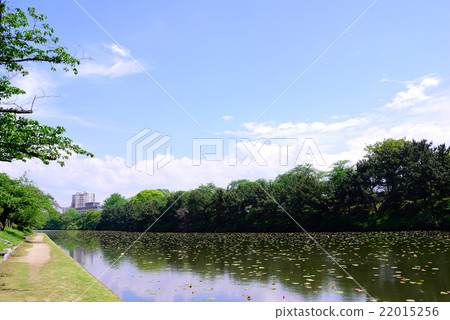 新鮮的綠色護城河的風景 新鮮的綠色護城河的風景 22015256