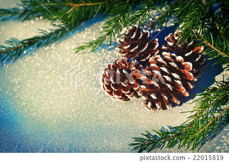 Christmas composition with pine cone 22015819