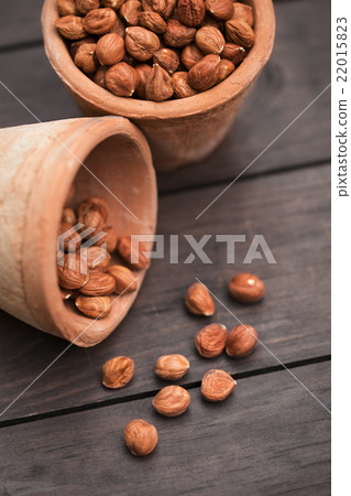 hazelnut on a wooden background outdoors hazelnut on a wooden background outdoors 22015823
