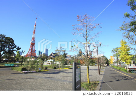 芝公園 22016035