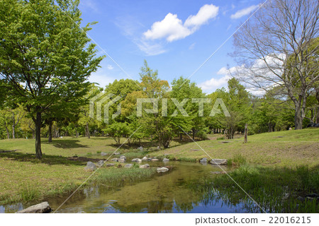 Fresh green flower Expo memorial park Fresh green flower Expo memorial park 22016215