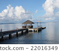 Look around the pier 22016349