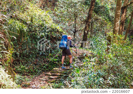 Hike in Nepal jungle Hike in Nepal jungle 22016607