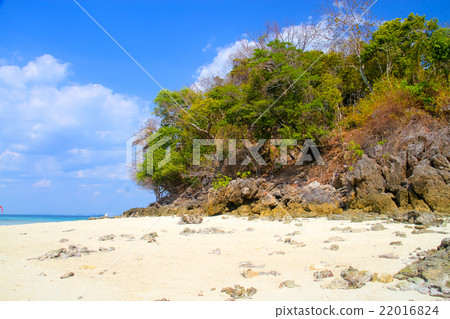 clear beautiful beach and blue sky 22016824