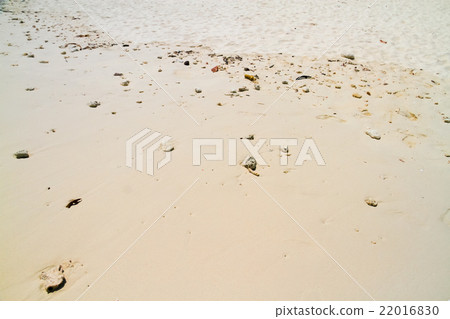 reef rocks on sand beach background. 22016830