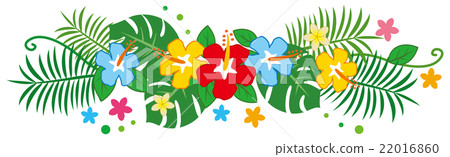 Decorative line illustration made from tropical plants (Hibiscus Monstera) Decorative line illustration made from tropical plants (Hibiscus Monstera) 22016860