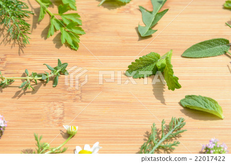 草藥在板上 22017422