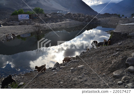 Pakistan Karakoram Street along the highway Chiraas Beautiful lake and mountain sheep flock Pakistan Karakoram Street along the highway Chiraas Beautiful lake and mountain sheep flock 22017427