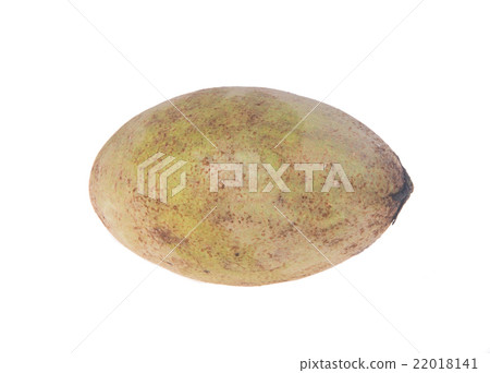 Ciku. Sapodilla. Ciku or Sapodilla on background 22018141