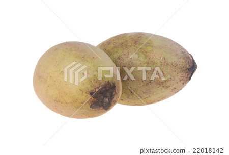 Ciku. Sapodilla. Ciku or Sapodilla on background 22018142