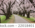 A quiet spring visit 22018401