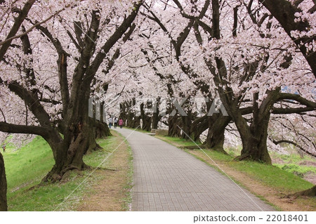 A quiet spring visit 22018401