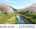 Quiet early morning cherry blossoms on the river side 22018402