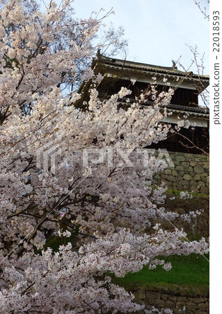 Sanada Maru Motoshiro Spring Shinshu Ueda Castle（真田城堡） 22018593