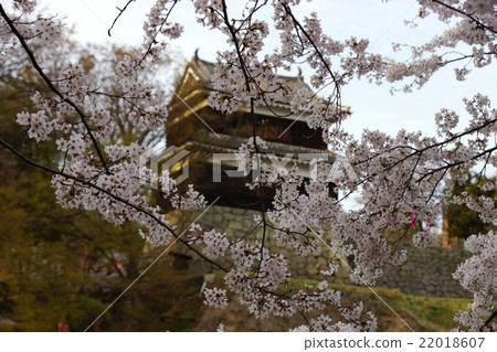 Sanada Maru Motoshiro Spring Shinshu Ueda Castle (Sanada castle) Sanada Maru Motoshiro Spring Shinshu Ueda Castle (Sanada castle) 22018607