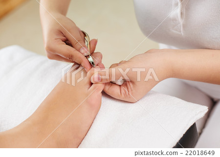 Cutting cuticle 22018649