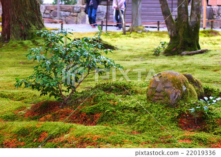 Jizo of Sanzenin 22019336