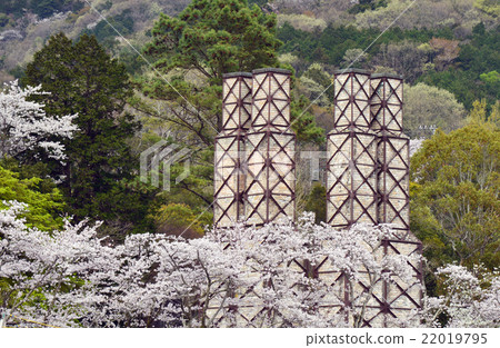 Cherry blossom bamboo reef furnace Cherry blossom bamboo reef furnace 22019795