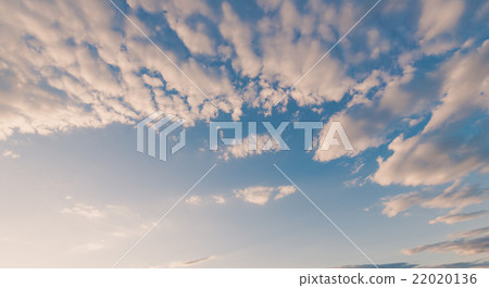 Sky Sky 22020136