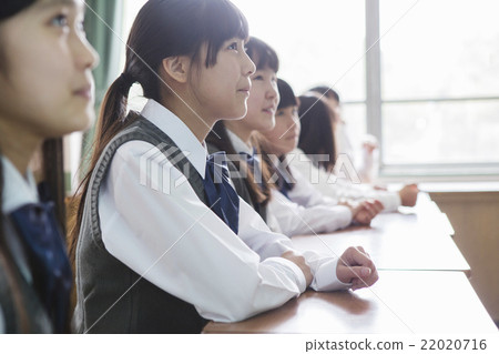 Girls sitting in the classroom Girls sitting in the classroom 22020716