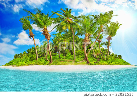 Whole tropical island within atoll, tropical Ocean 22021535