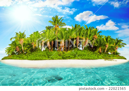 Whole tropical island within atoll, tropical Ocean Whole tropical island within atoll, tropical Ocean 22021565