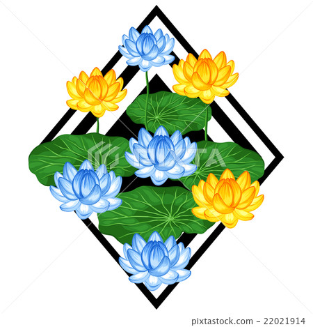 Natural background with lotus flowers and leaves 22021914