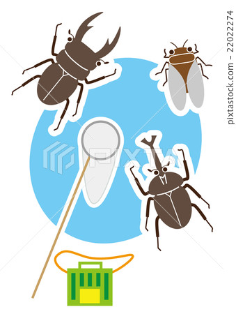 Insect collecting 22022274