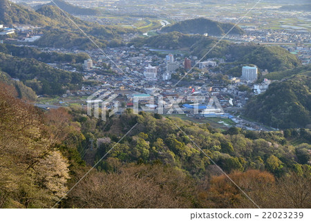 From the country of Izu Katsuragiyama mountain Nagaoka spa city desire 22023239