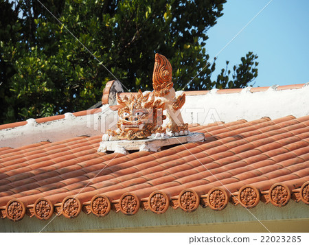 SHISA SHISA 22023285