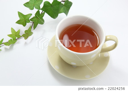 Tea rooibosuti Tea rooibosuti 22024256