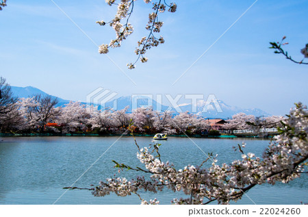 Wolong Park Wolong Park 22024260