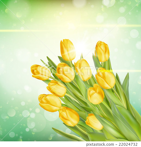 Bouquet of yellow tulips. EPS 10 Bouquet of yellow tulips. EPS 10 22024732