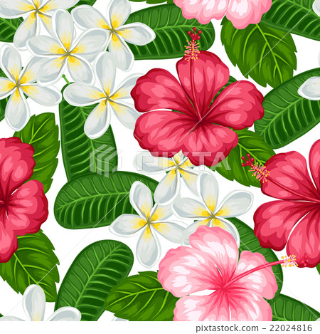 Seamless pattern with tropical flowers hibiscus - Stock Illustration ...