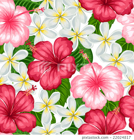 Seamless pattern with tropical flowers hibiscus - Stock Illustration ...