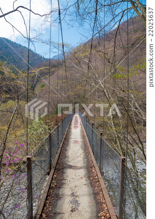 Nishizawa Valley Nishizawa Valley 22025637