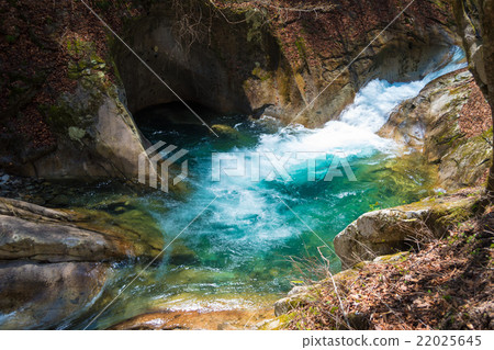 Nishizawa Valley 22025645