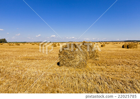 haystacks straw , summer haystacks straw , summer 22025785