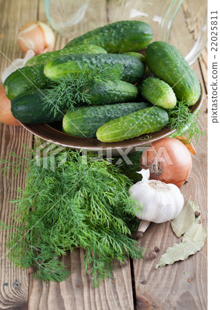 Making pickles Making pickles 22025811