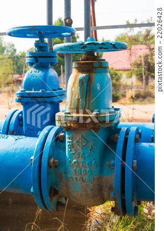 Gate valve 22026428