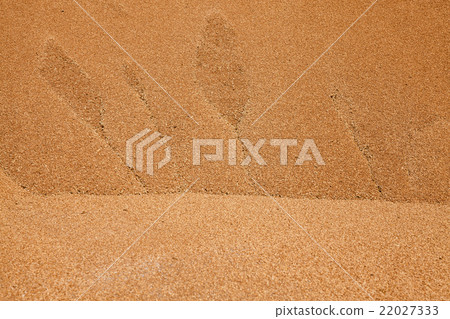 heap of wheat grains   22027333