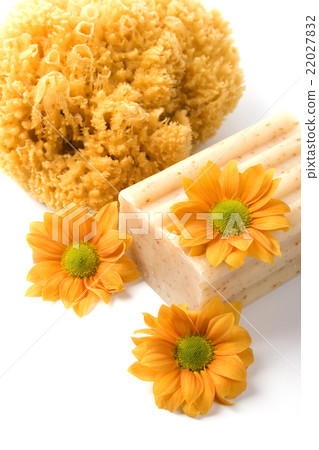 natural sponge, soap and flowers natural sponge, soap and flowers 22027832